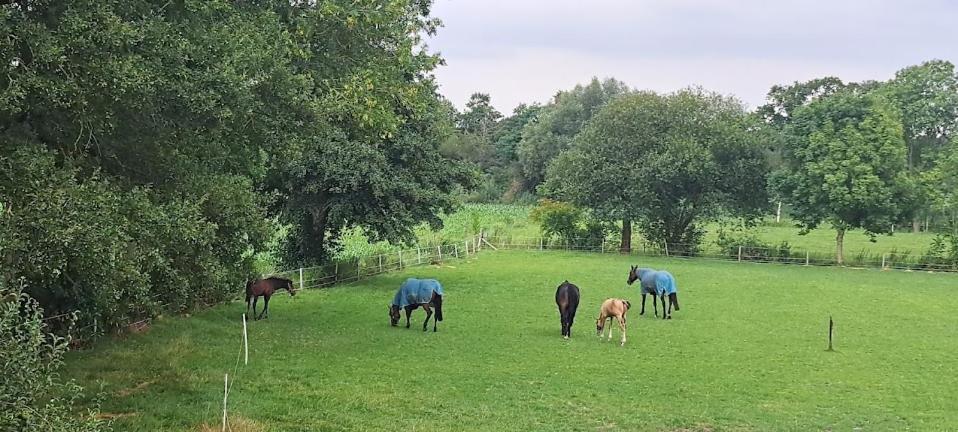 B&B De Blauwe Melkbus Harskamp Zewnętrze zdjęcie
